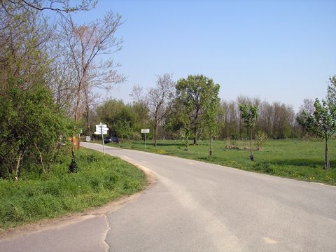 Foto 38